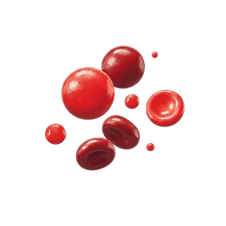 Immune function & blood health